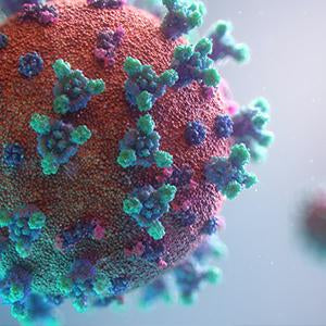 WHO technical document of the use of non-pharmaceutical forms of Artemisia