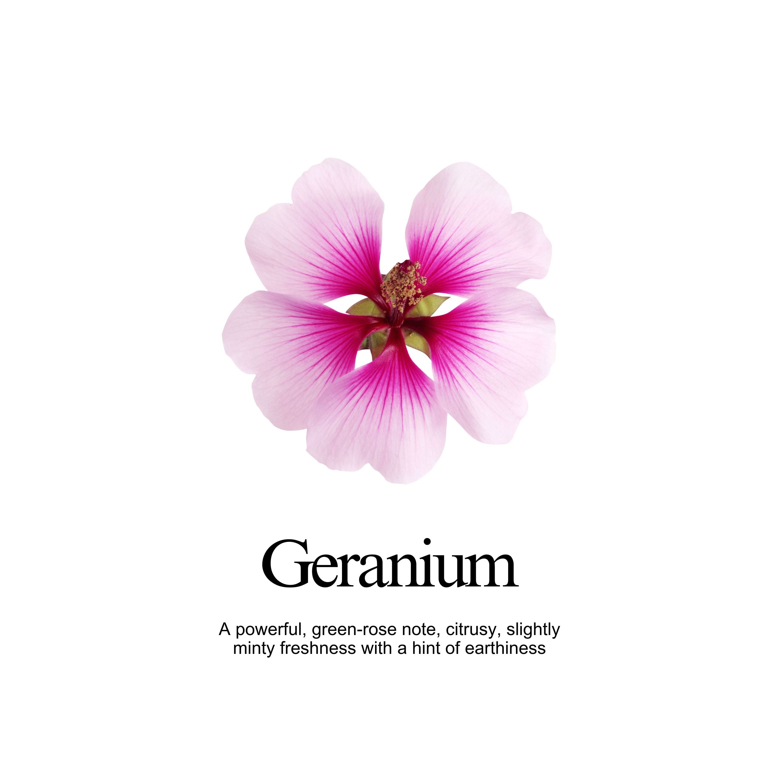 Geranium Body Balm
