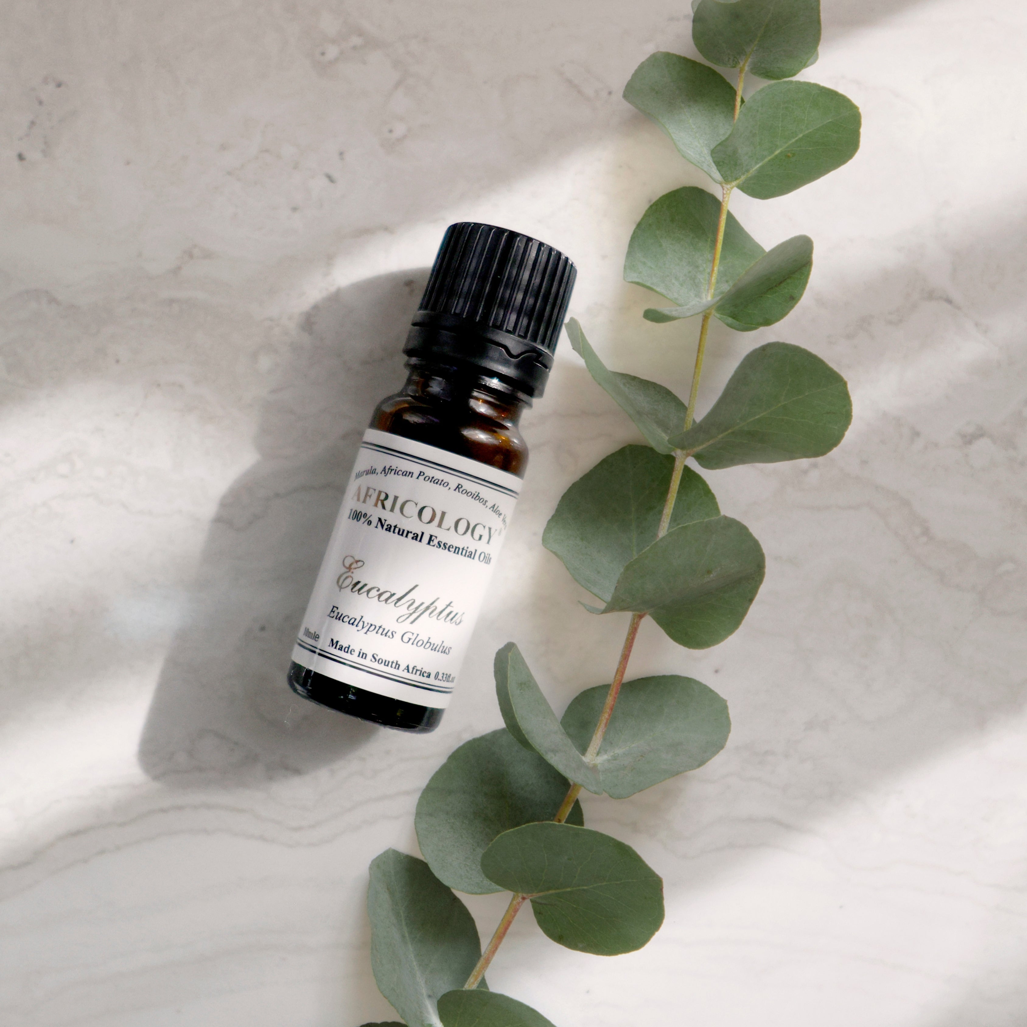 Eucalyptus 100% Natural Essential Oil 10ml