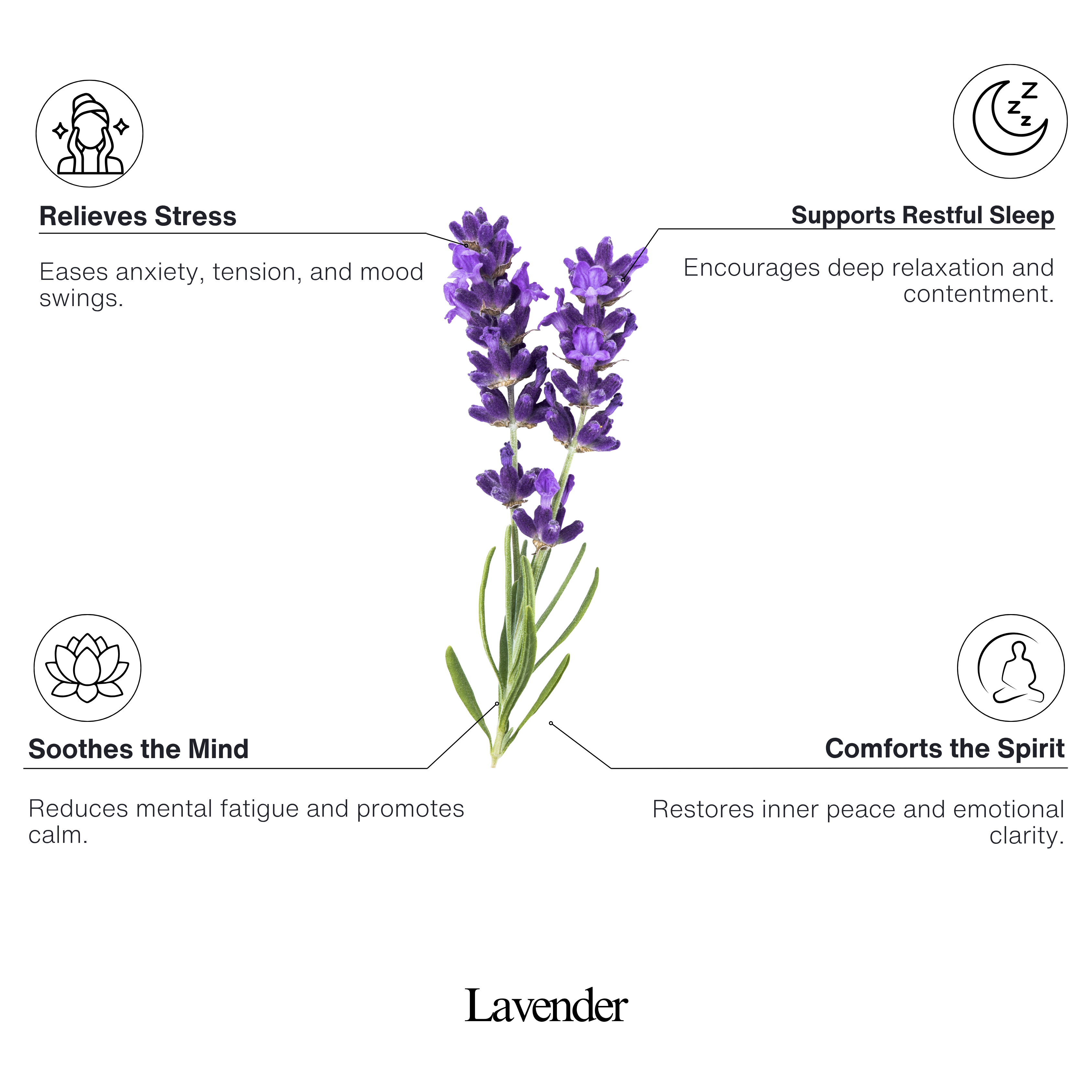 Lavender 100% Natural Essential Oil