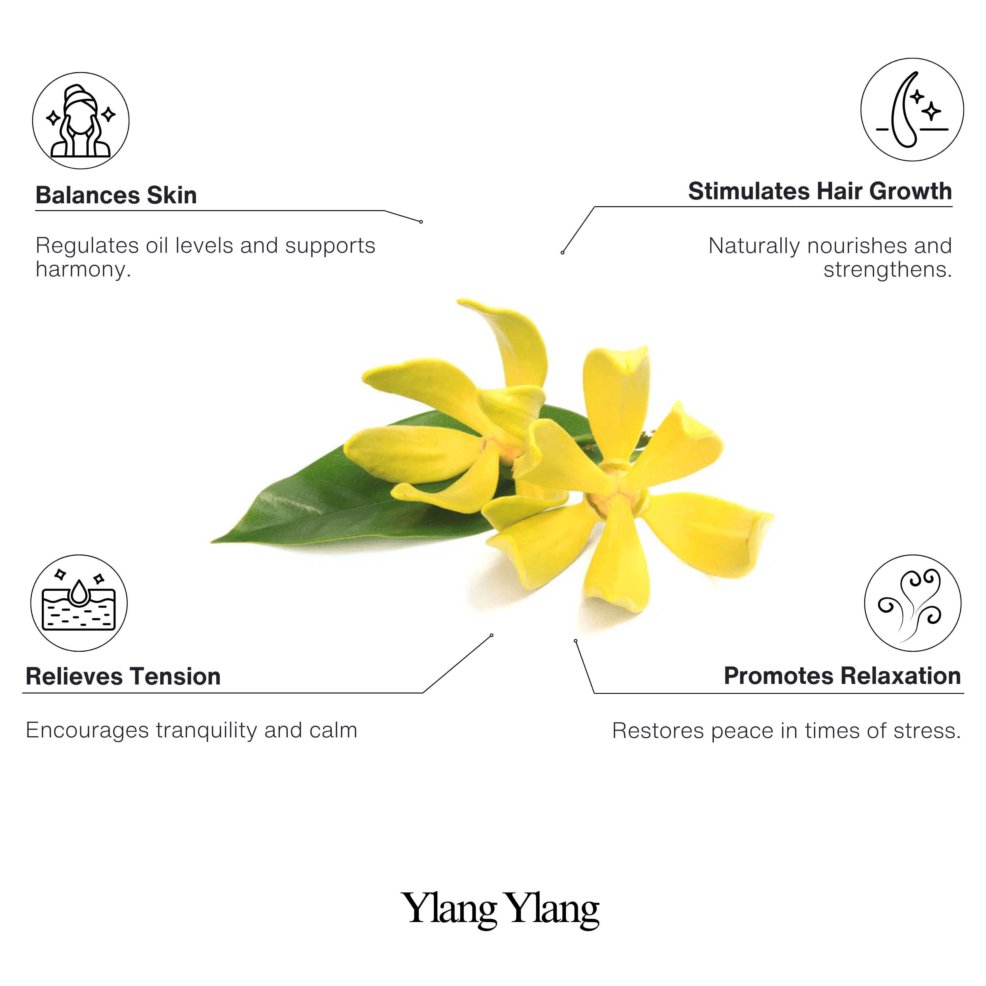 Ylang Ylang 100% Natural Essential Oil