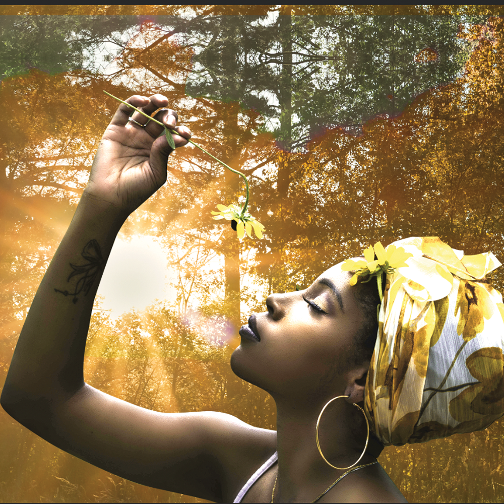 Gratitude – the key to manifesting life’s fullness