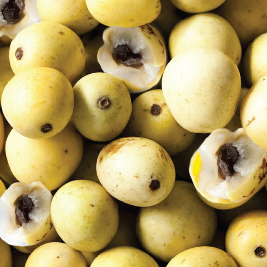 The Marula Story