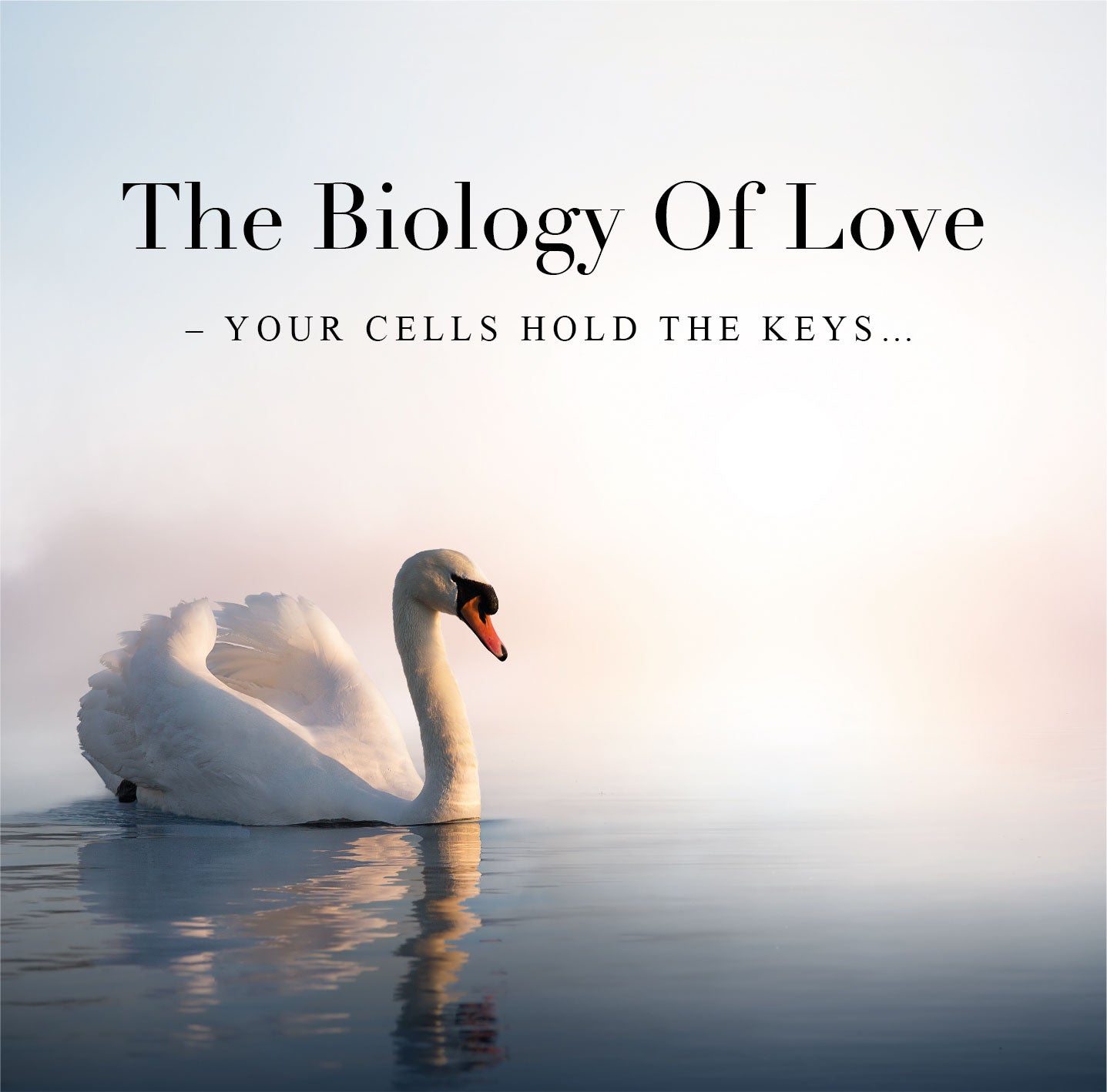 The Biology Of Love  - Your cells hold the keys...