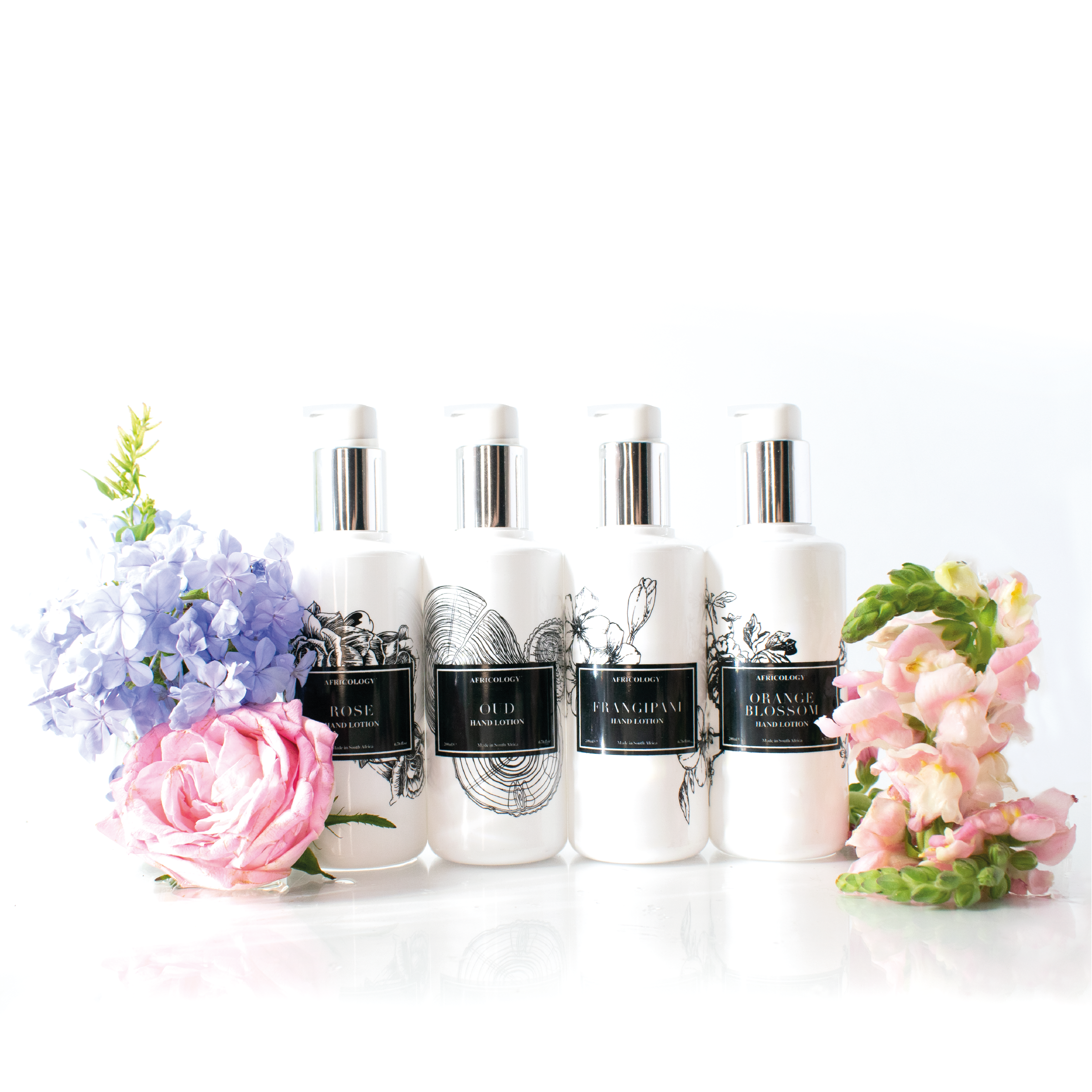 Limited Edition Hand & Body Lotions