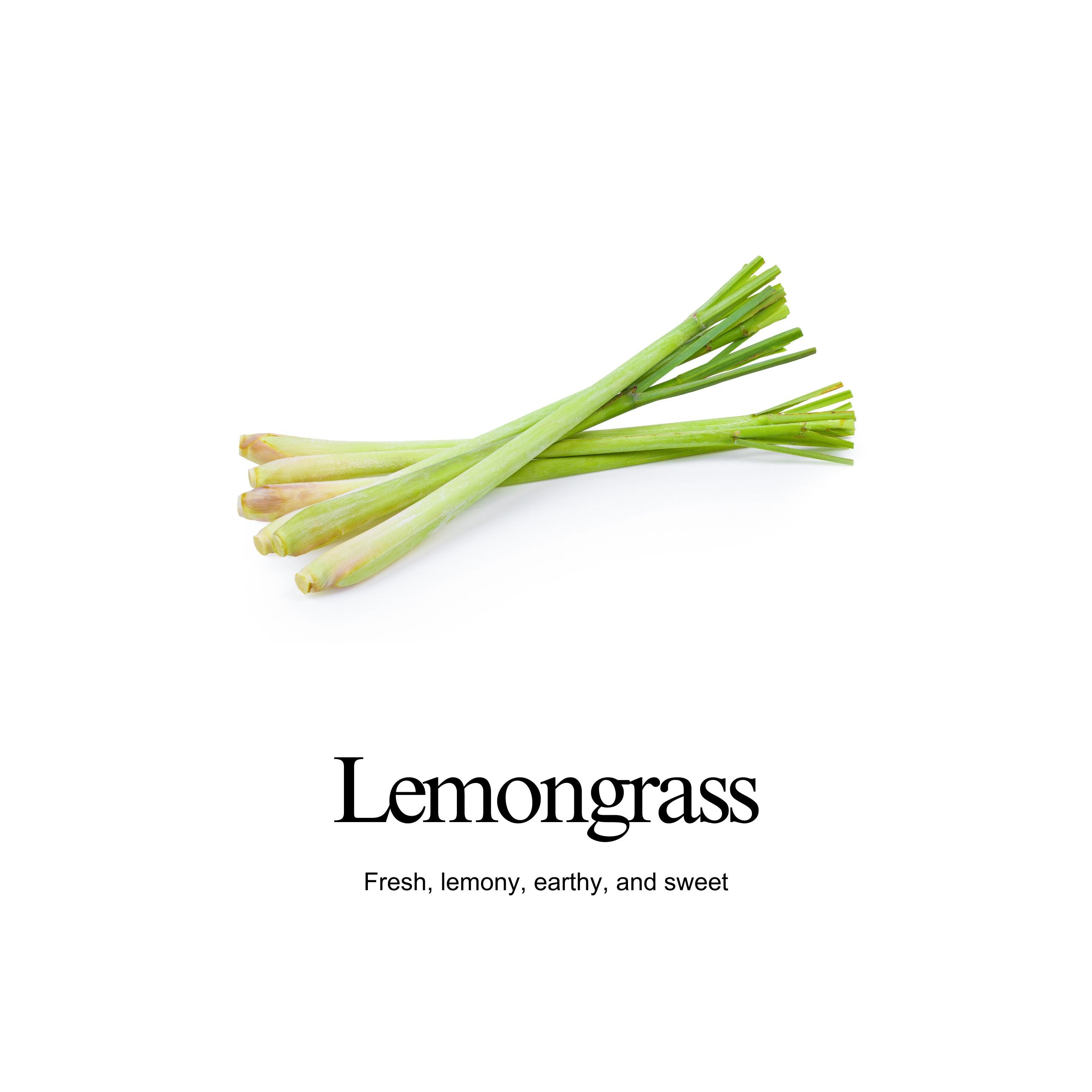 Lemon Grass Body Balm