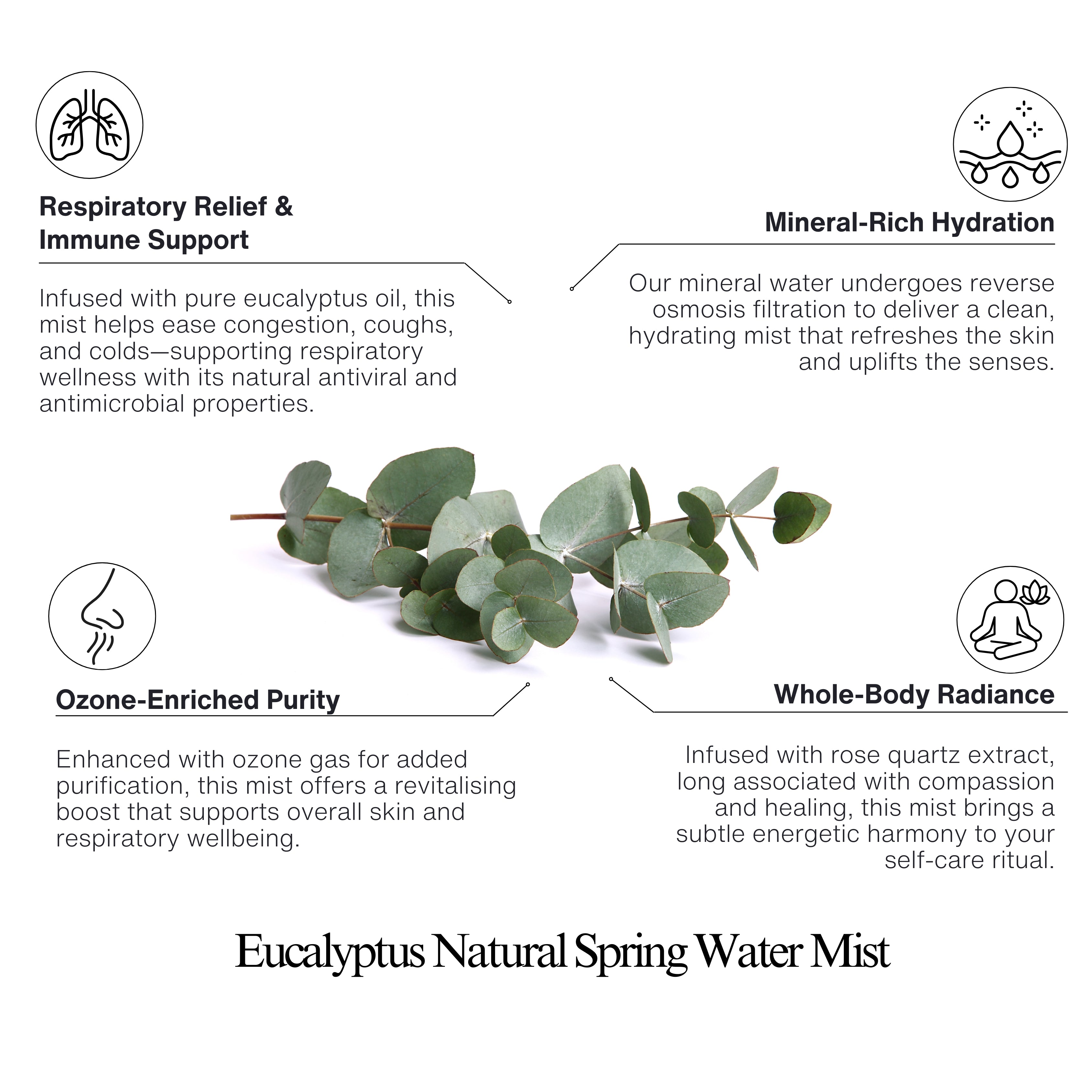 Eucalyptus Natural Spring Water Mist