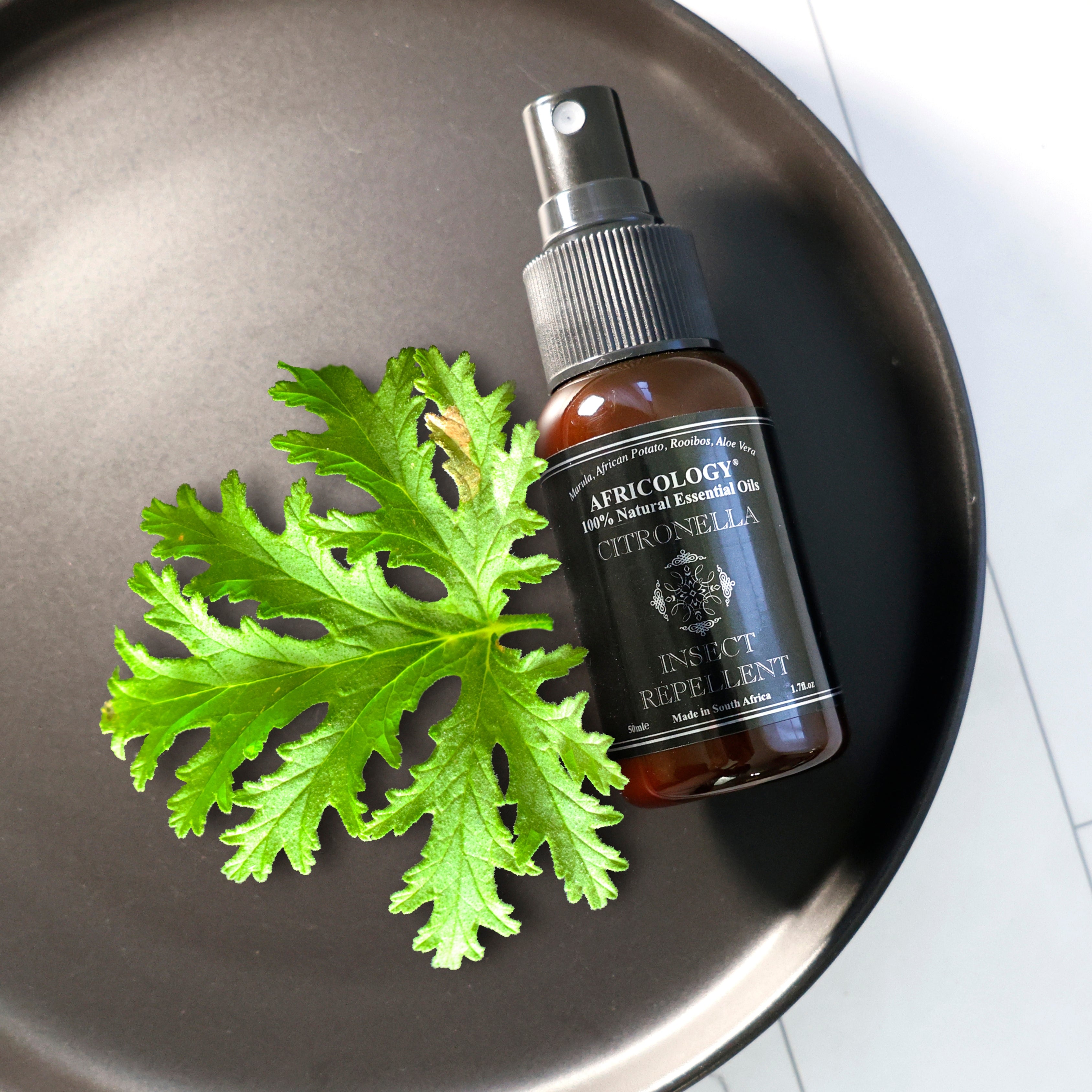 Citronella Spray/Insect Repellent