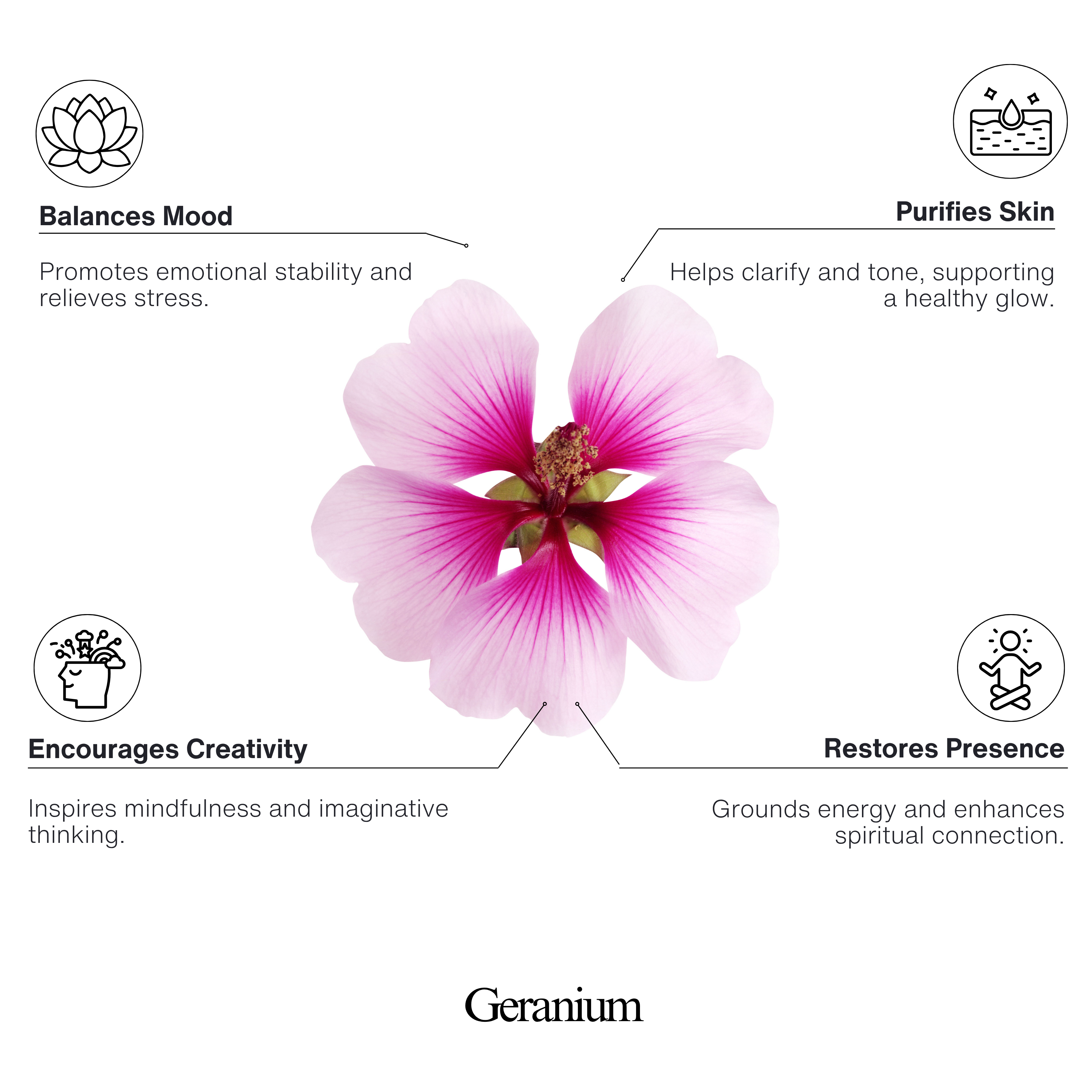 Geranium 100% Natural Essential Oil