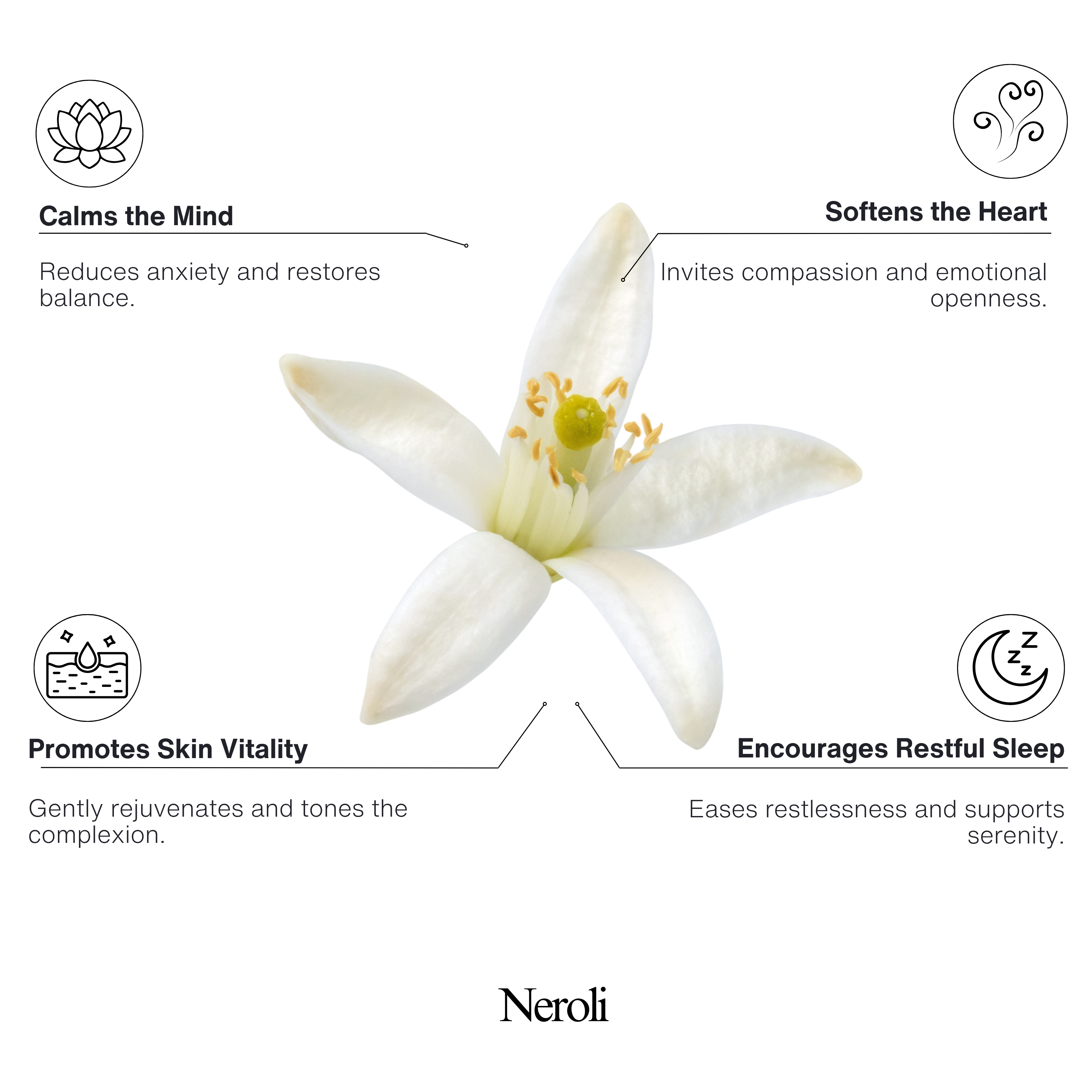 Neroli 100% Natural Essential Oil