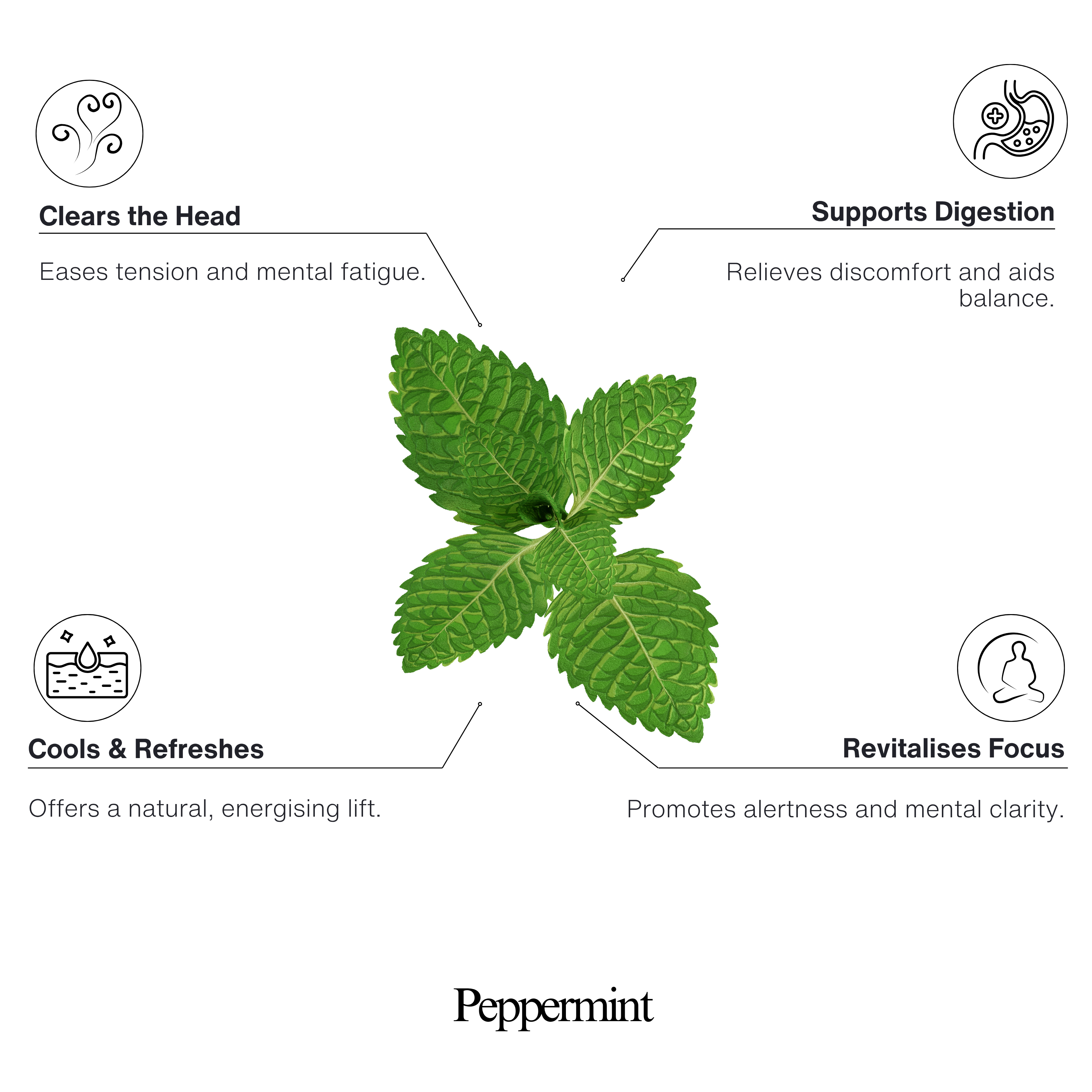 Peppermint 100% Natural Essential Oil