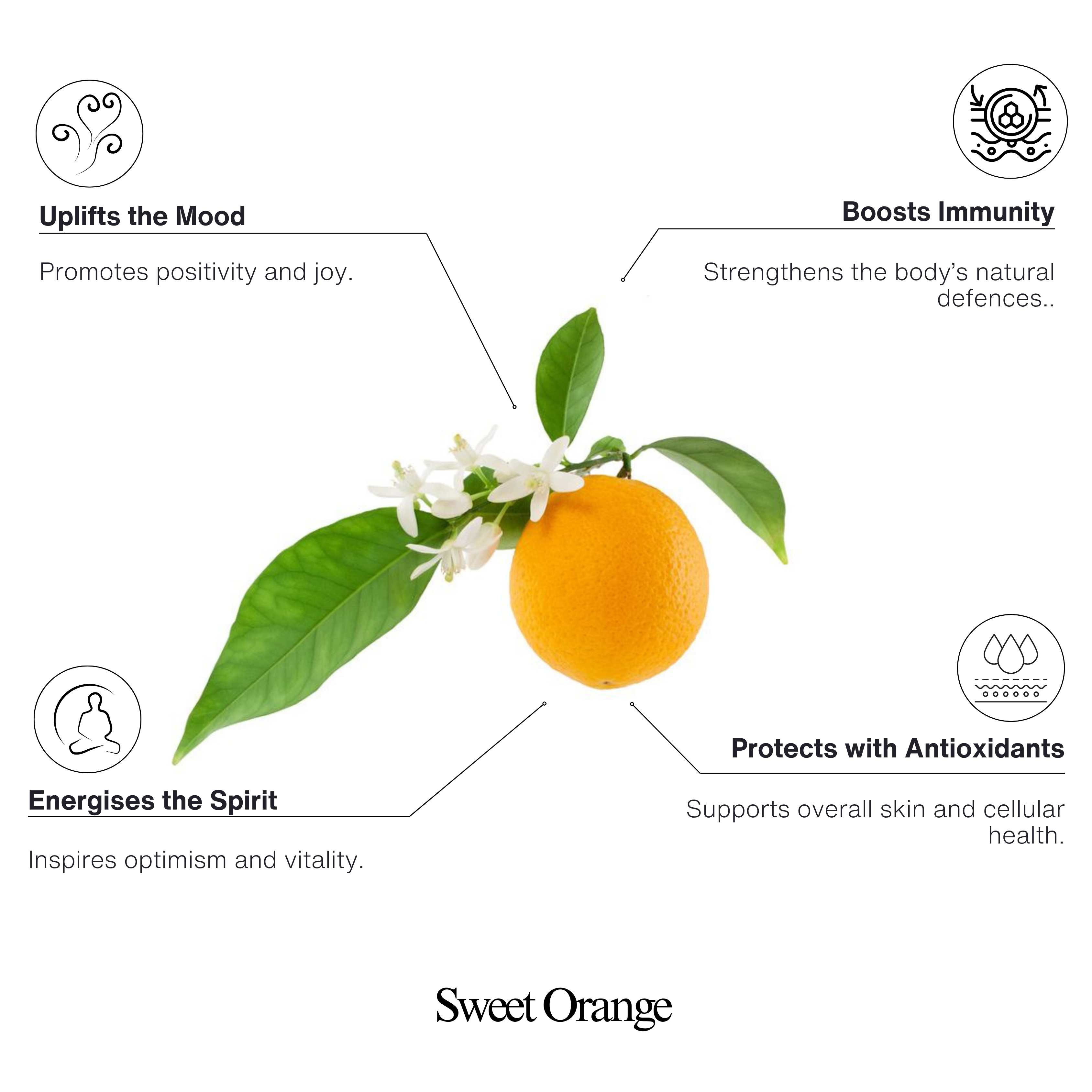 Sweet Orange 100% Natural Essential Oil