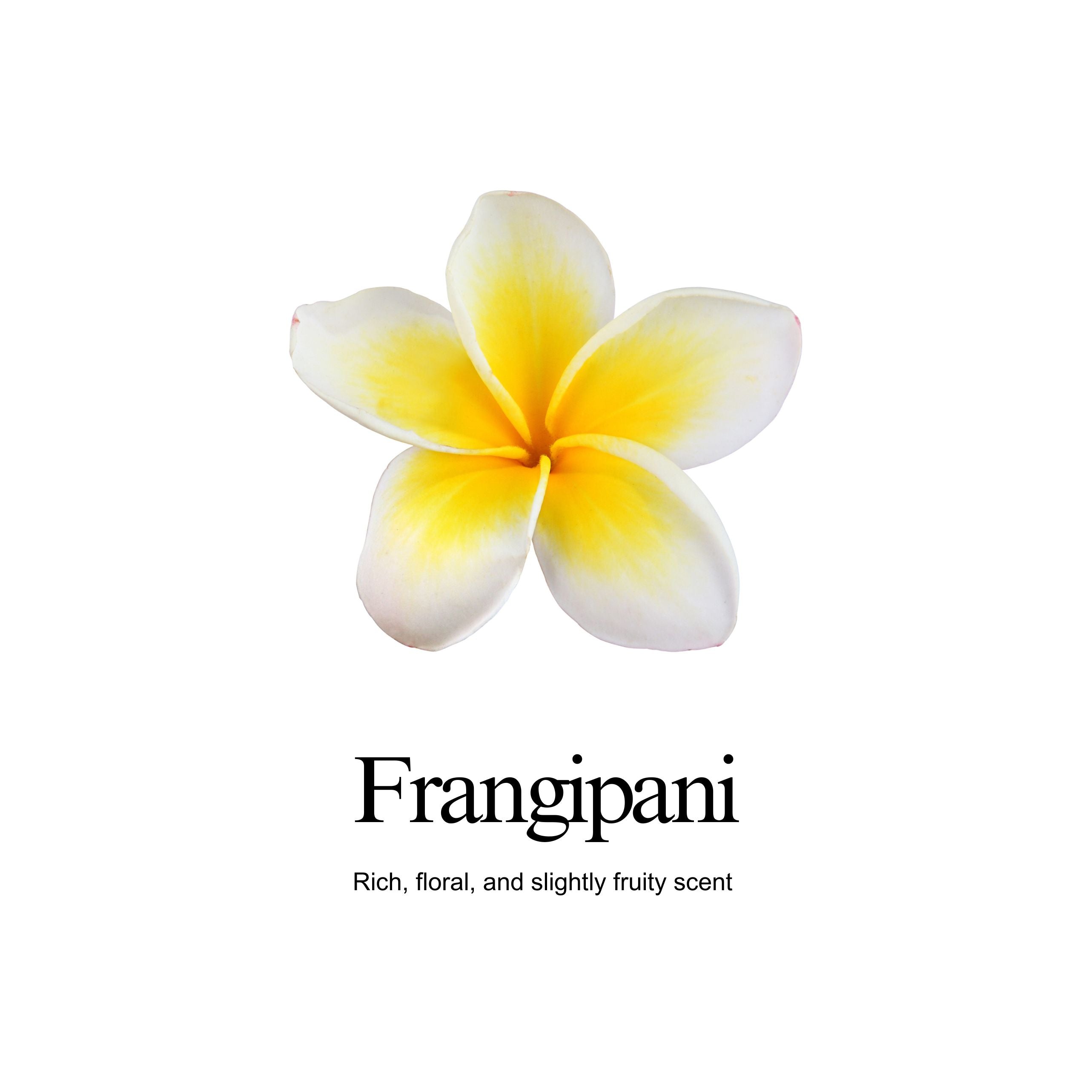 Frangipani Body Balm