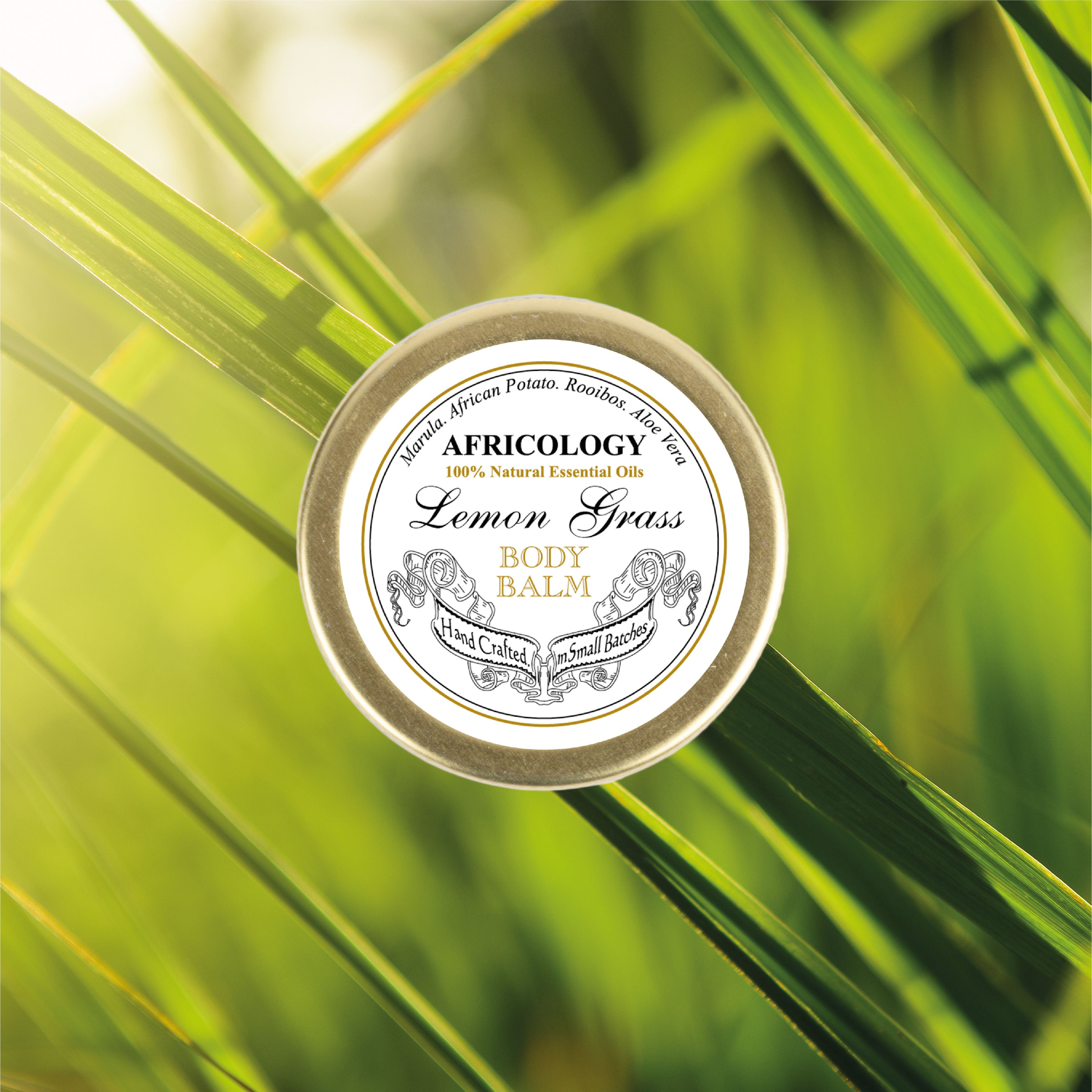 Lemon Grass Body Balm