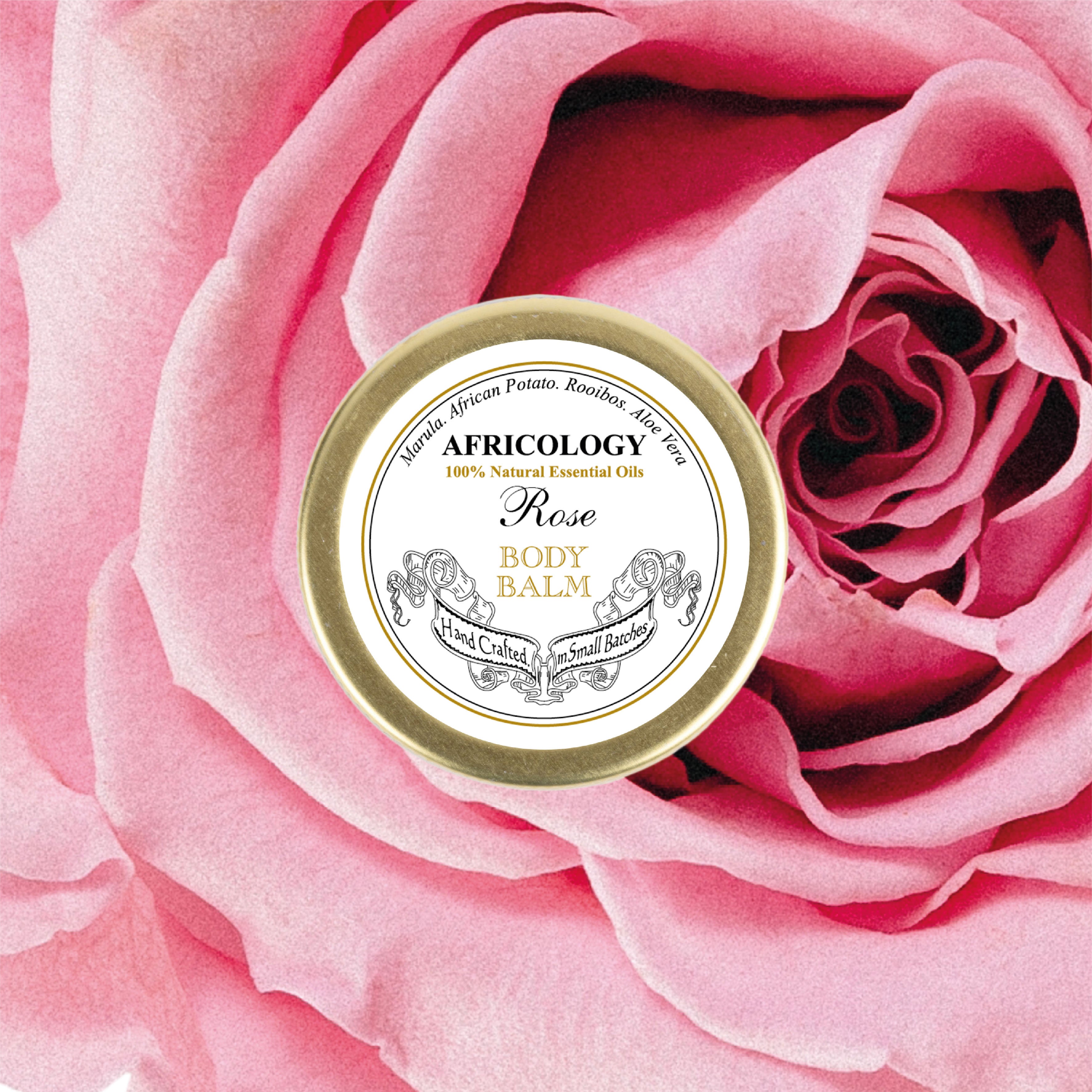 Rose Body Balm