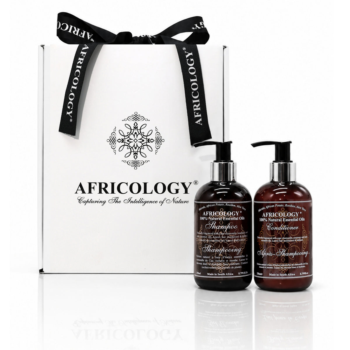 Africology Shampoo and Conditioner, 250ml each, beside the bespoke white and black Africology gift box with ribbon